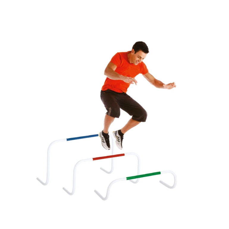Haie basculante 31 cm - Tremblay