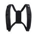 Posture Pro - Blackroll