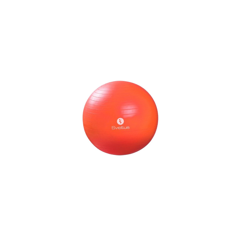Gymball gris SVELTUS - diam 65