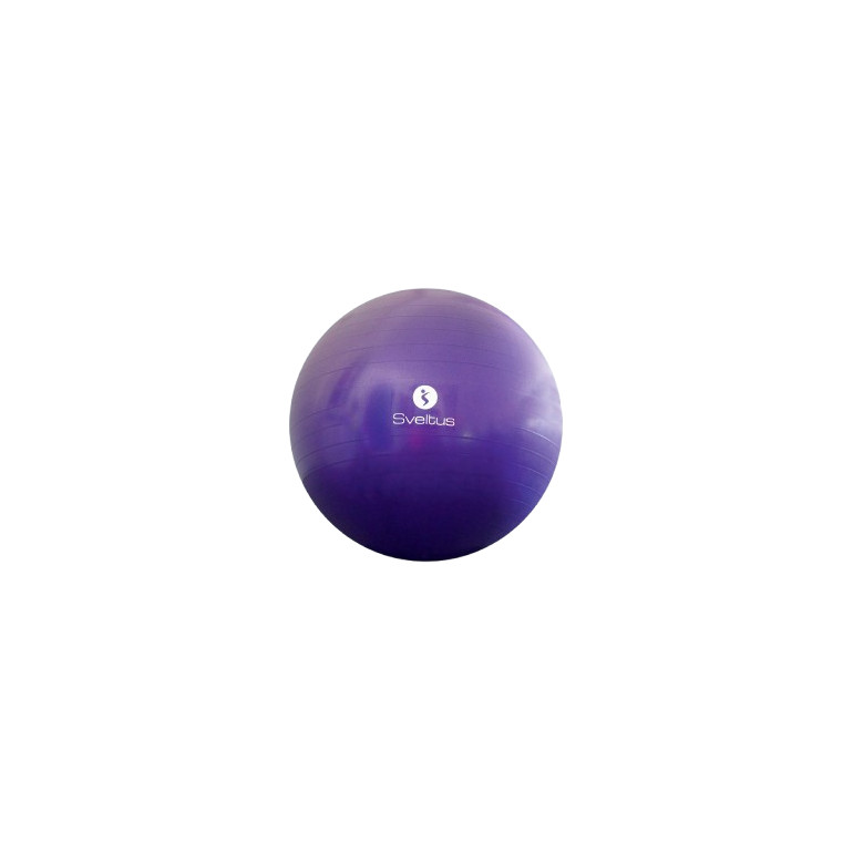Gymball gris SVELTUS - diam 65