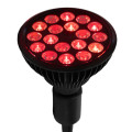 Flowlight Bulb 50 6 vagues - Flowlife