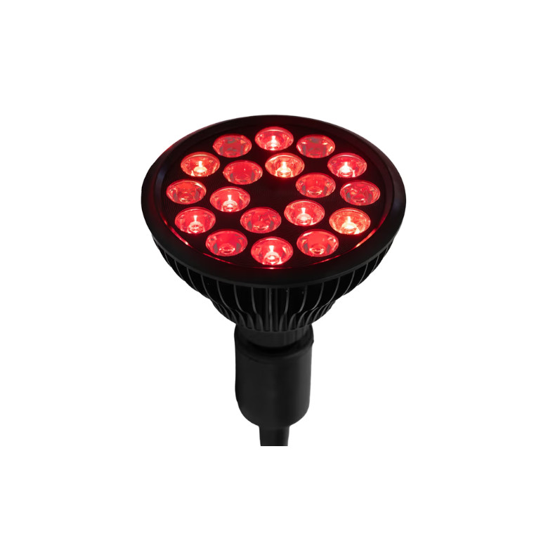 Flowlight Bulb 50 6 vagues - Flowlife