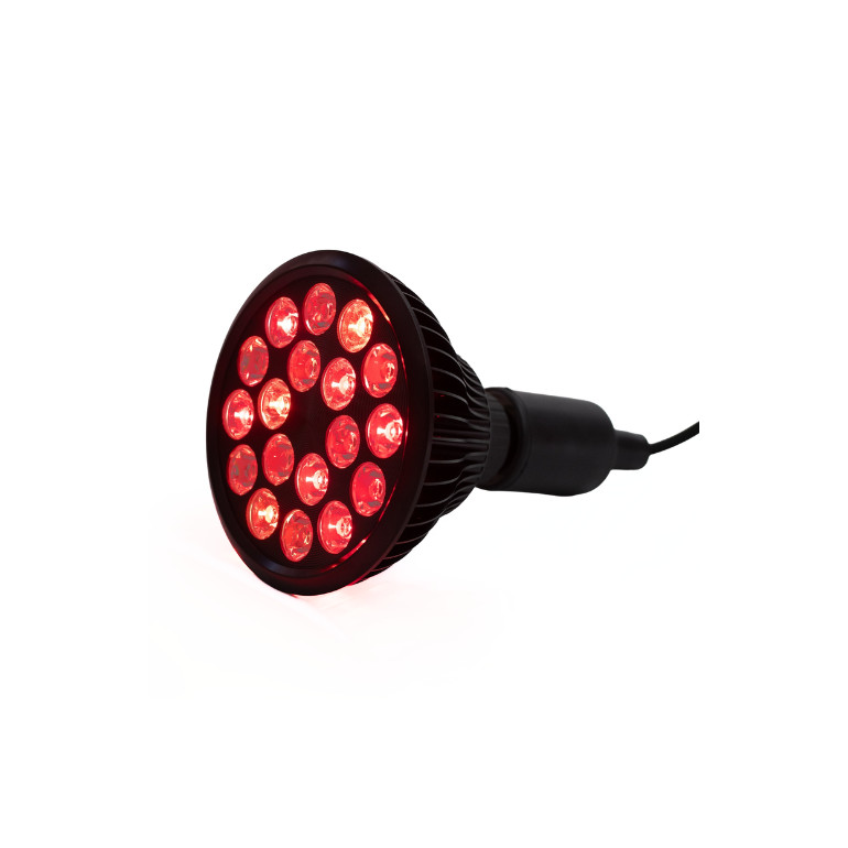 Flowlight Bulb 50 6 vagues - Flowlife