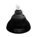 Flowlight Bulb 50 6 vagues - Flowlife