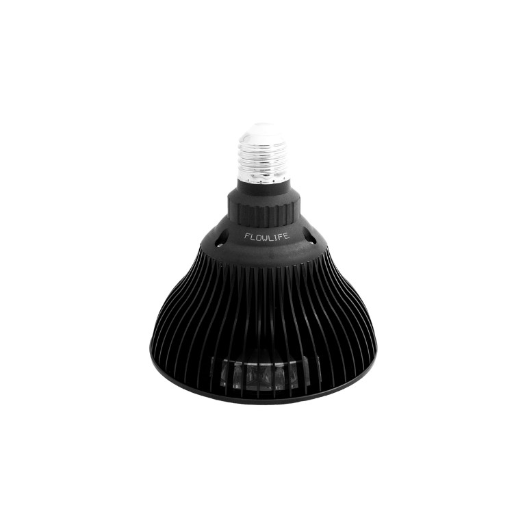 Flowlight Bulb 50 6 vagues - Flowlife