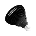 Flowlight Bulb 50 6 vagues - Flowlife