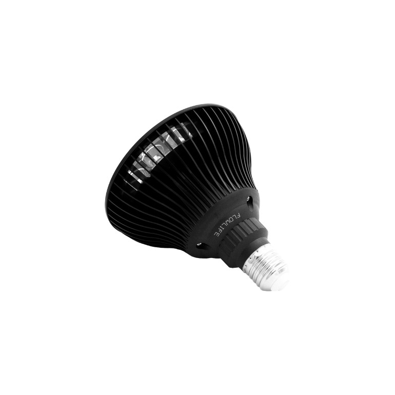 Flowlight Bulb 50 6 vagues - Flowlife